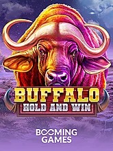 buffalo-hold-and-win