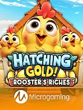 hatching-gold-roosters-riches