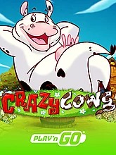 crazy-cows