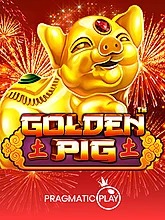 golden-pig