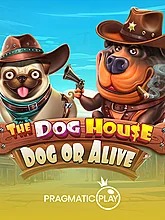 the-dog-house-dog-or-alive